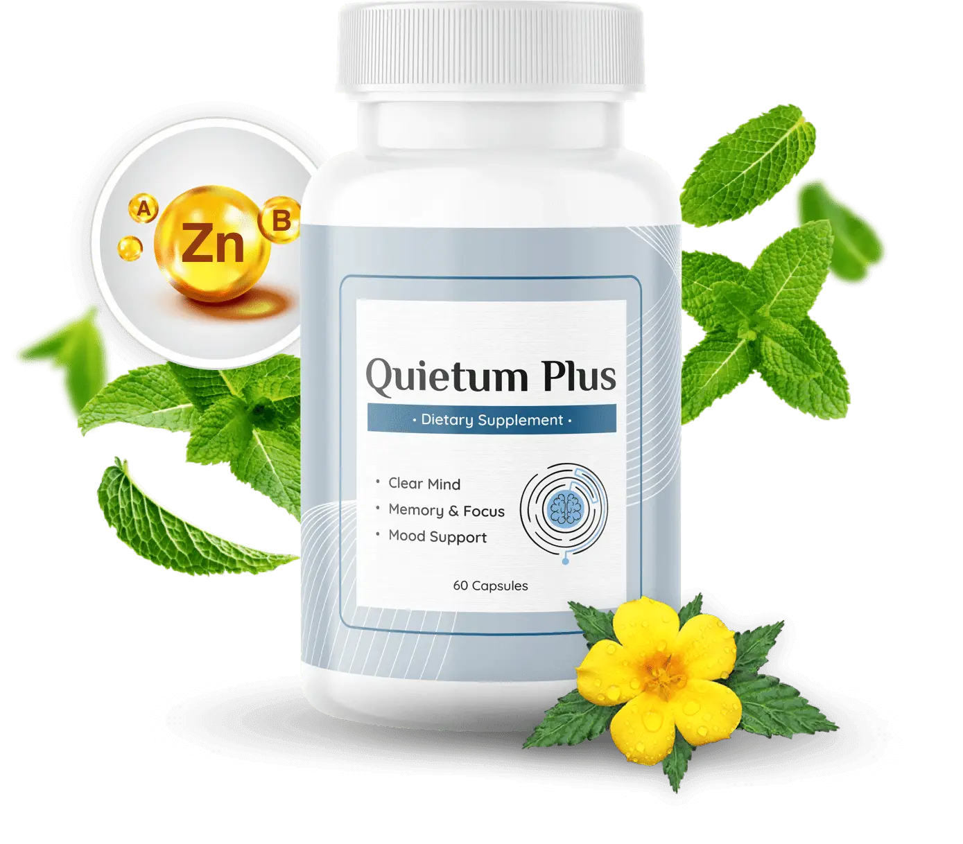 Quietum Plus Product 